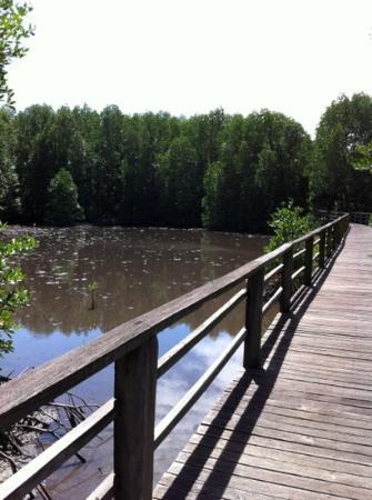 Kota Kinabalu Wetland Centre